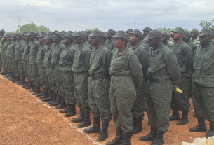VDP AGRICULTURE BURKINA FASO