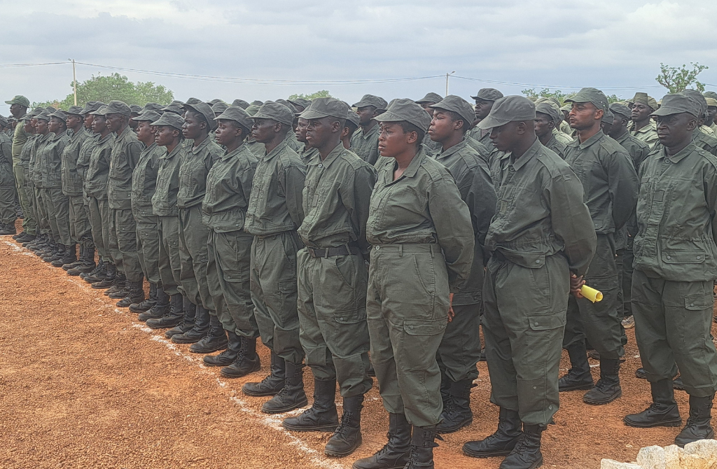 VDP AGRICULTURE BURKINA FASO