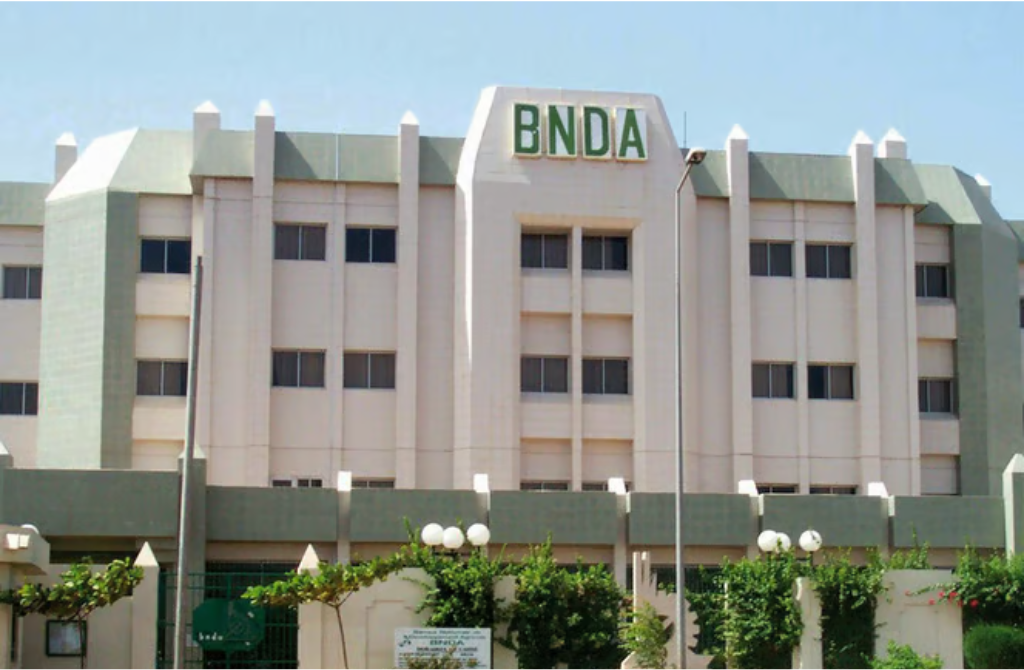 Mali BNDA