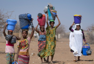 Burkina Faso PDI
