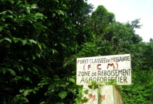 Togo Missahohe