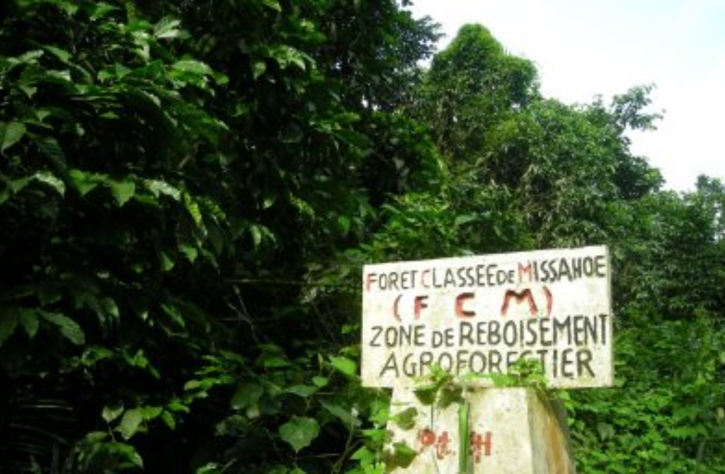 Togo Missahohe