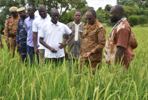 Burkina Faso Souveraineté Alimentaire