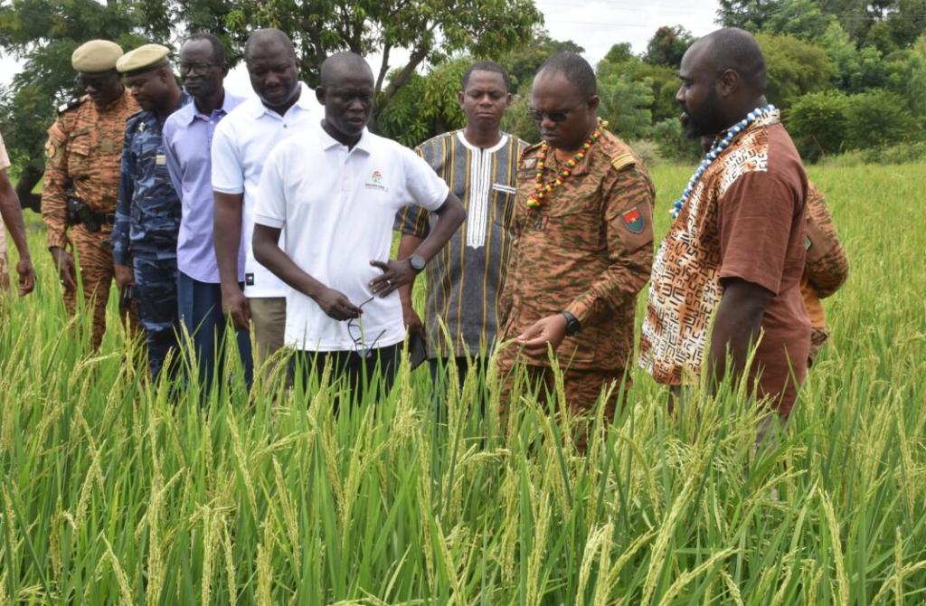 Burkina Faso Souveraineté Alimentaire