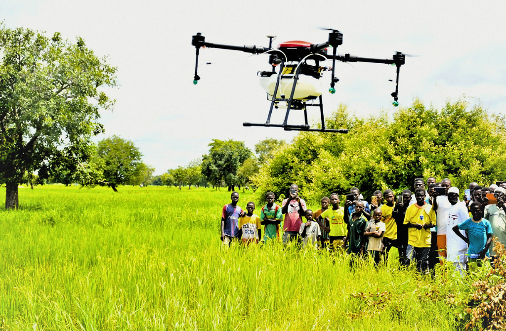 Burkina Faso agriculture