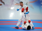 Mondiaux de Karaté
