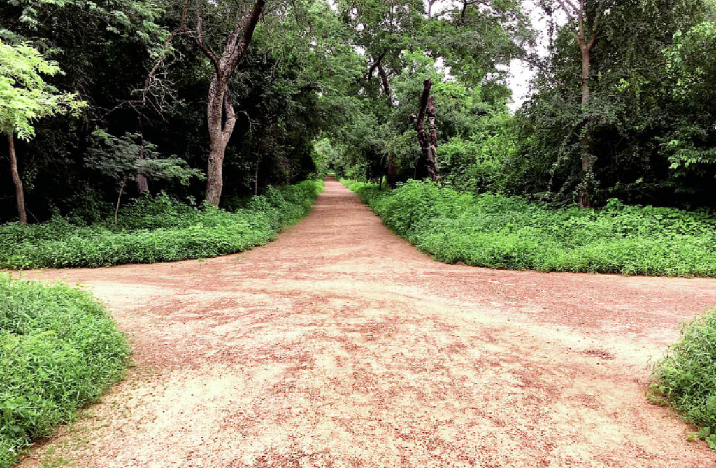 Burkina Faso espaces verts