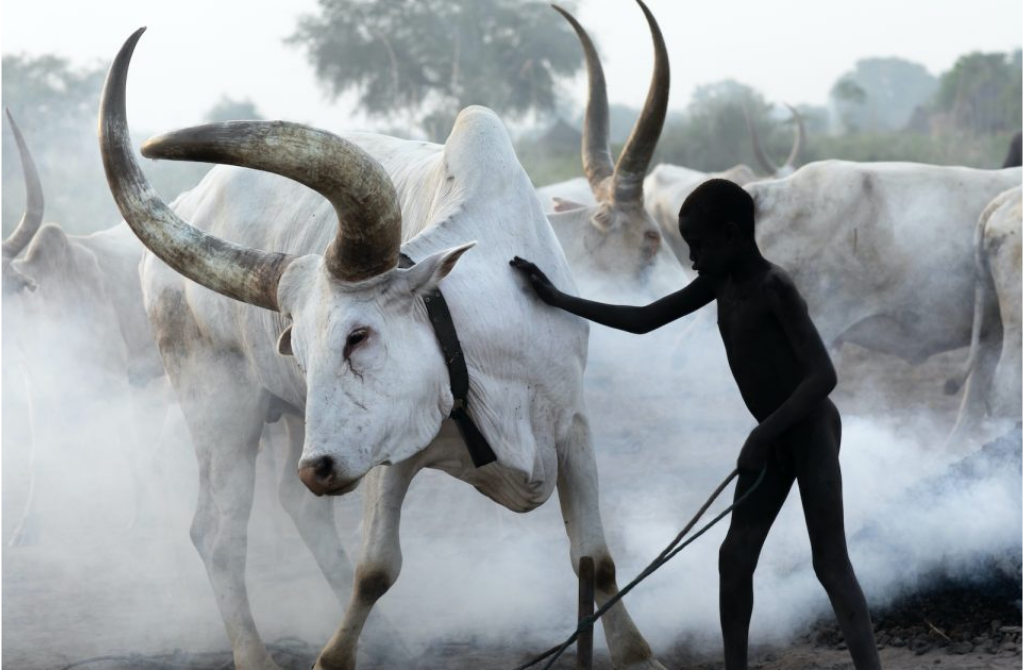 nyala